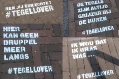 Combifoto-spuitmallen-600x412-1