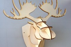 moose
